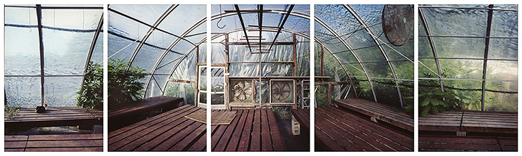 Esther Pullman, Marshall’s Farm Stand Greenhouse, late summer, West Gloucester, MA 2006.