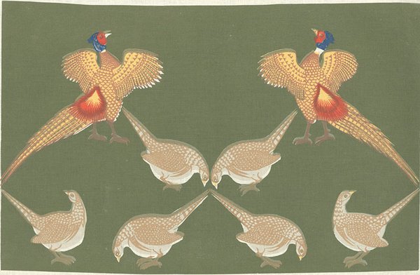 Golden Pheasants