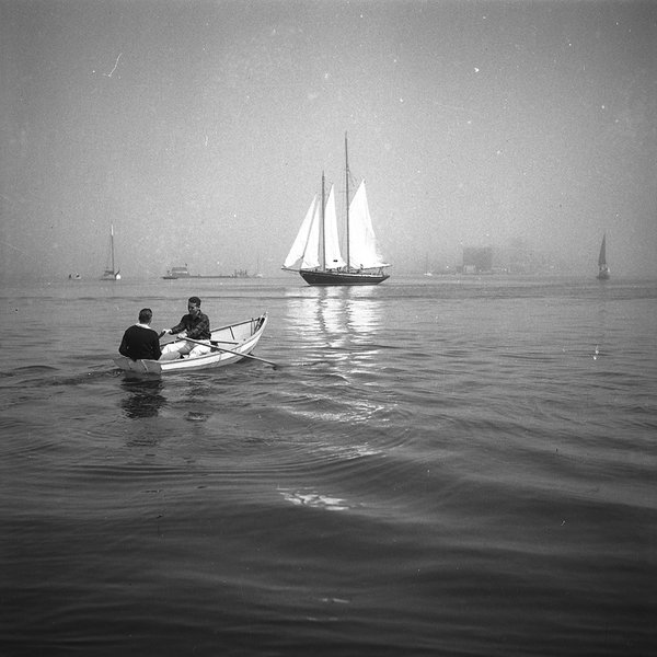 Rowing in the Harbor